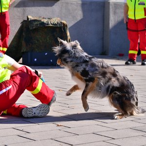 FLORIAN 2018, Messeimpression