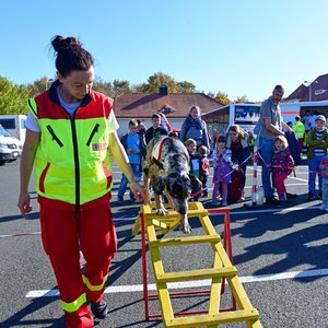 FLORIAN 2019, Messeimpression