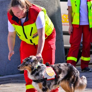 FLORIAN 2018, Messeimpression