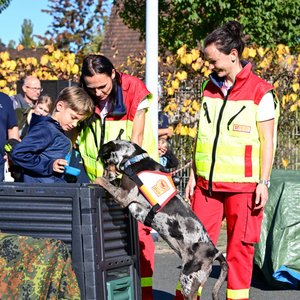 FLORIAN 2019, Messeimpression