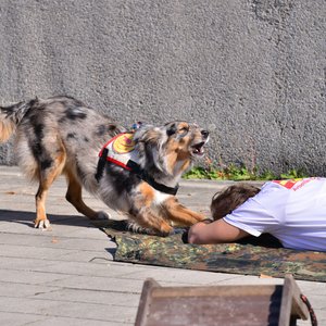 FLORIAN 2018, Messeimpression