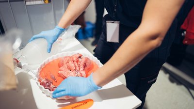 Bist Du bereit – Für Teamwork?